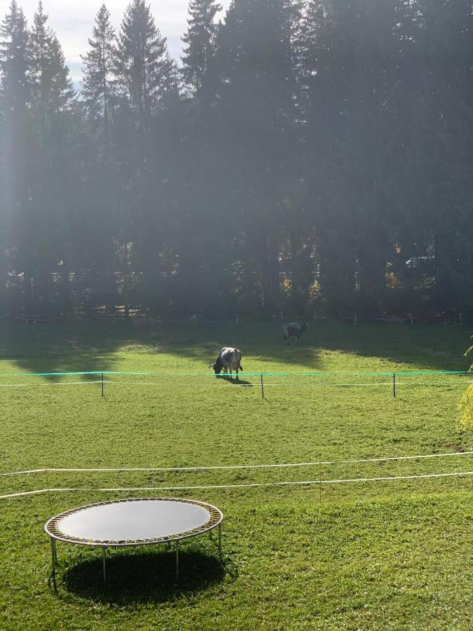 Appartamento Birkenhof Leutasch Esterno foto